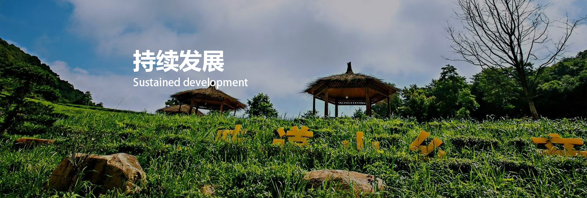 东升国际(中国区) - 官方网站