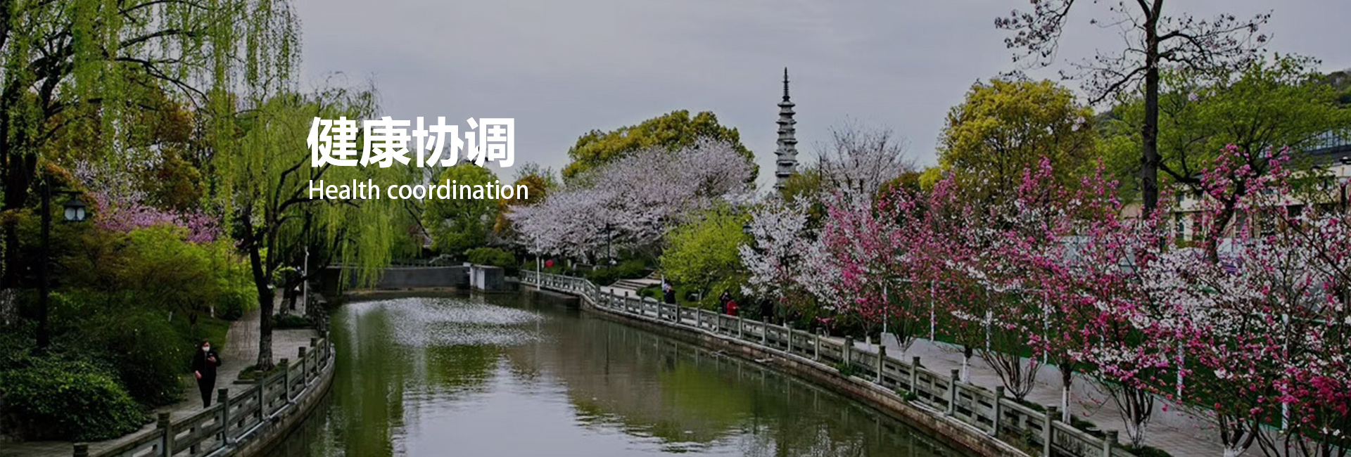东升国际(中国区) - 官方网站