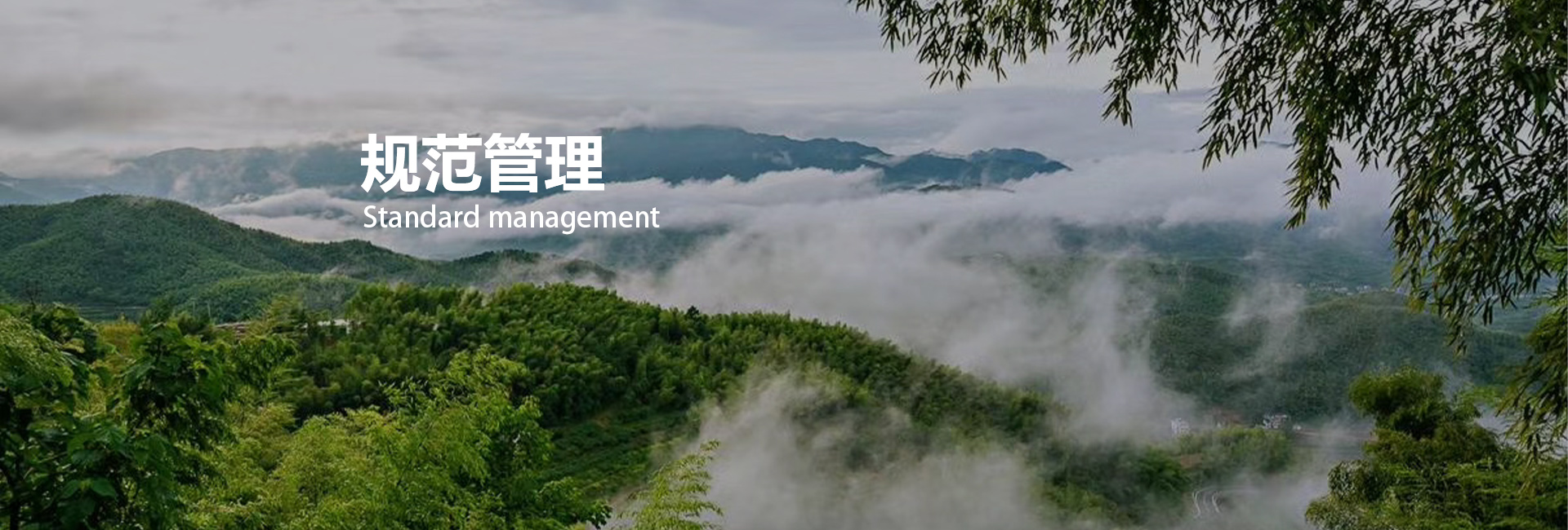 东升国际(中国区) - 官方网站